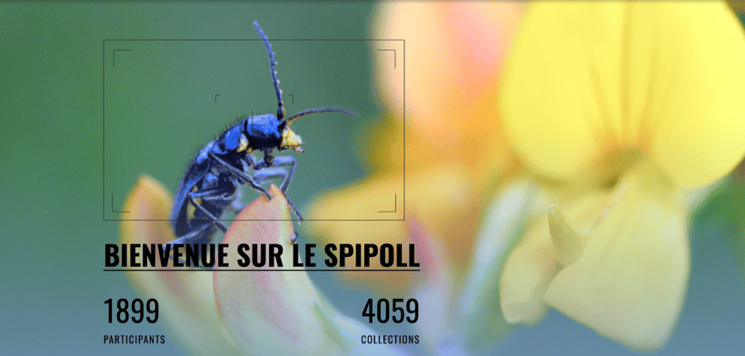 5d517784a7151_Capture d’écran 2019-08-12 à 16.15.38