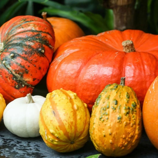 Courges