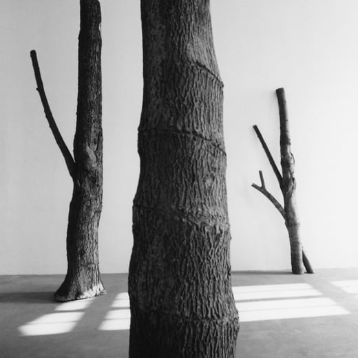 penone
